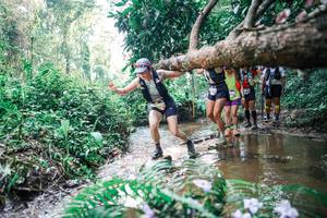 BIB: 
                            <button type="button" onclick="openModal(25458944)" class="btn btn-primary btn-sm float-right btn-popup" data-toggle="modal" data-target=".modal-high-quality">
                        <i class="fas fa-shopping-cart"></i> Add to Cart
                    </button>
                                            <button type="button" onclick="isThisMe(25458944, true)" class="btn btn-success btn-sm float-right btn-popup btn-isme hidden" data-toggle="tooltip" data-placement="bottom" title="นี่คือรูปของคุณใช่ไหม คลิกที่นี่เพื่อเอาเข้าอัลบั้ม">
                        <i class="fas fa-plus"></i> Add to album
                    </button>
                    <button type="button" onclick="isThisMe(25458944, false)" class="btn btn-warning btn-sm float-right btn-popup btn-isnotme hidden">
                        <i class="fas fa-ban"></i> Remove from album
                    </button>